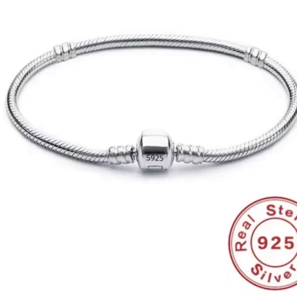 Sterling Silver Snake Chain Bracelet